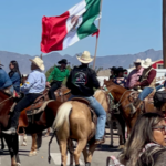 The horses are back!